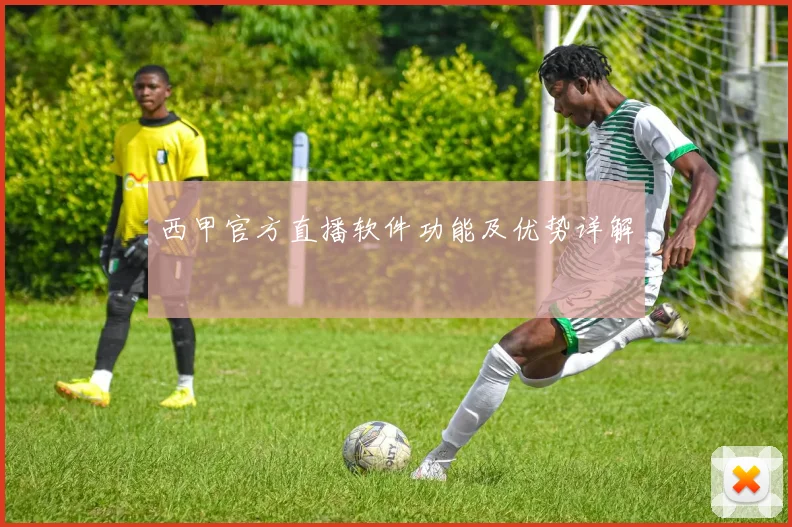 西甲官方直播软件功能及优势详解