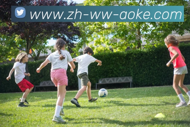 澳客足彩平台生态图