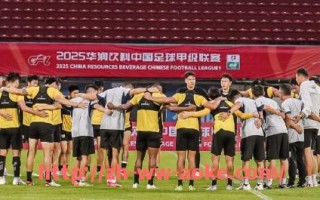 澳客足彩-火箭队球员路威简介与在队期间表现回顾